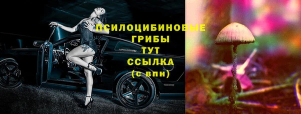 PSILOCYBIN Аркадак