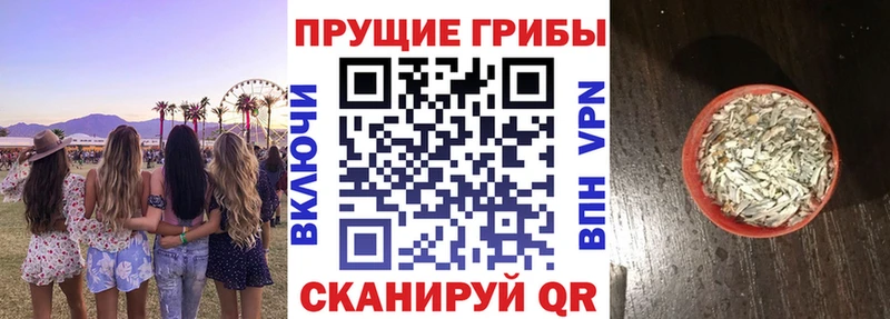 Галлюциногенные грибы Magic Shrooms  Спас-Клепики 
